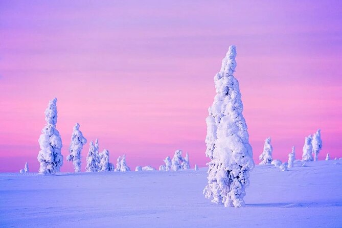 Snowmobile and Ice Fishing Experience - Snowmobiling through the Lappish forest