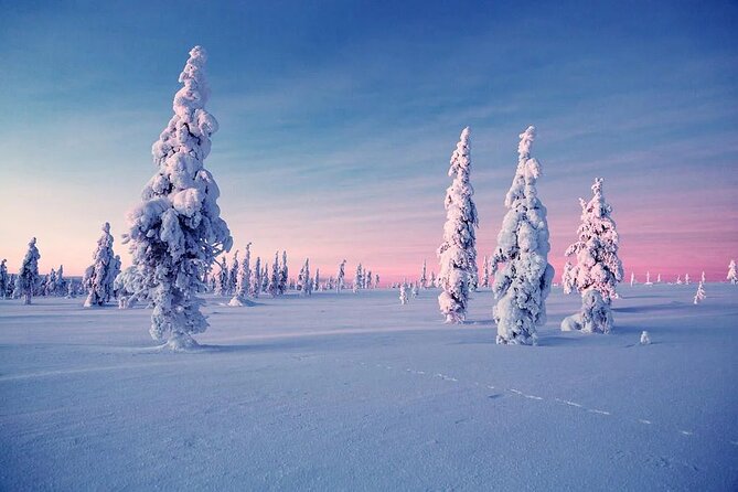 Snowmobile and Ice Fishing Experience - How the price of $240.15 holds up
