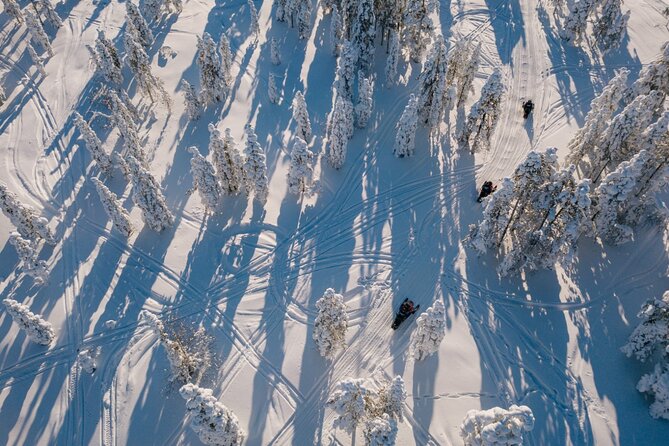 Snowmobile & Animals Day Tour - Key points to know before booking