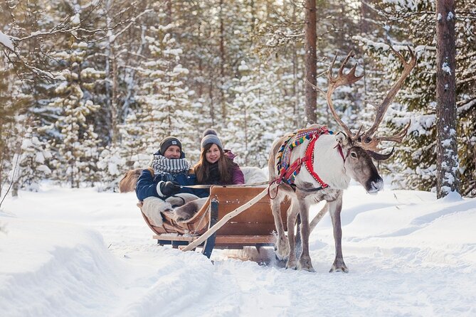 Snowmobile & Animals Day Tour - Reindeer sleigh ride: quiet, scenic, and gentle