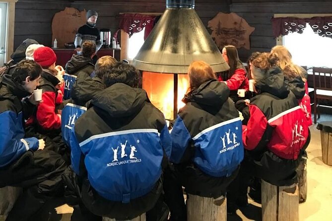 Snowmobile & Animals Day Tour - How the timing affects the experience