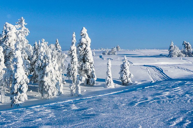 Snowmobile Driving - Afternoon start - Solo driving and the international license rule
