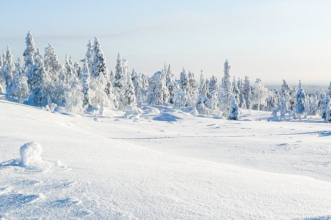 Snowmobile Driving - Afternoon start - Is $152.70 good value for two to three hours?