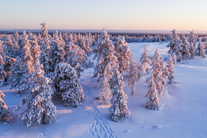 Snowmobile Driving - Morning start - Language and guide support