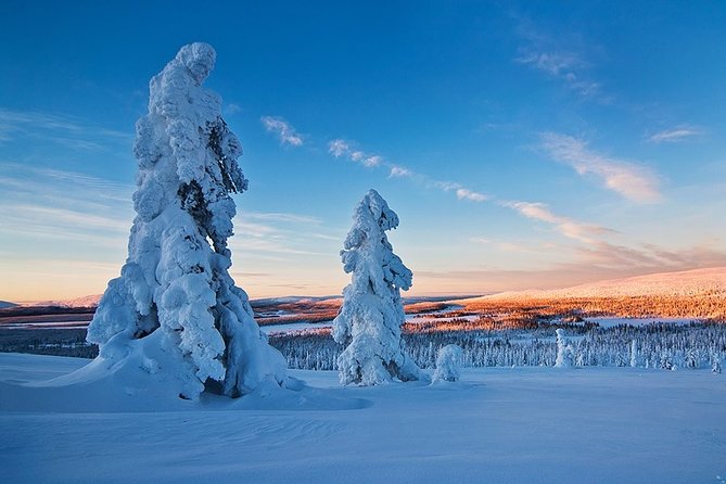 Snowmobile Driving - Morning start - Who will enjoy this morning ride most?