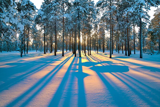 Snowmobile Safari 2h - Who will enjoy this Rovaniemi safari most?