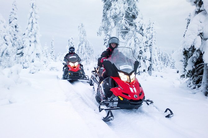 Snowmobile Safari in the Forest - Who will enjoy this most