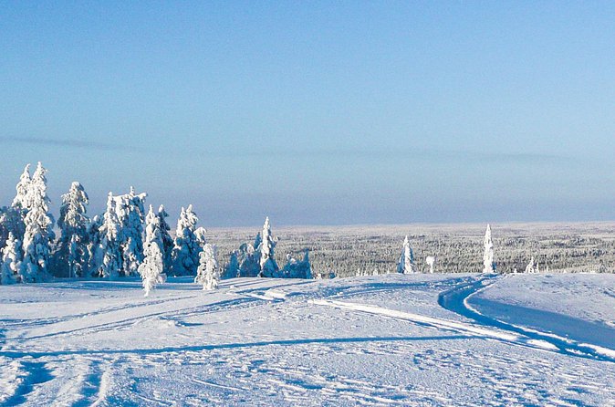 Snowmobile Safari in the Forest - Small group advantages and limits