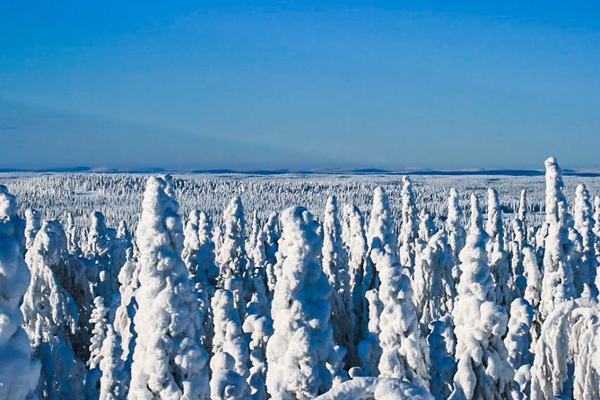 Snowmobile Safari in the Nature - Three hours on the clock, with some variation
