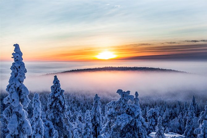 Snowmobile Safari in the Nature - Is $183.72 a fair price?