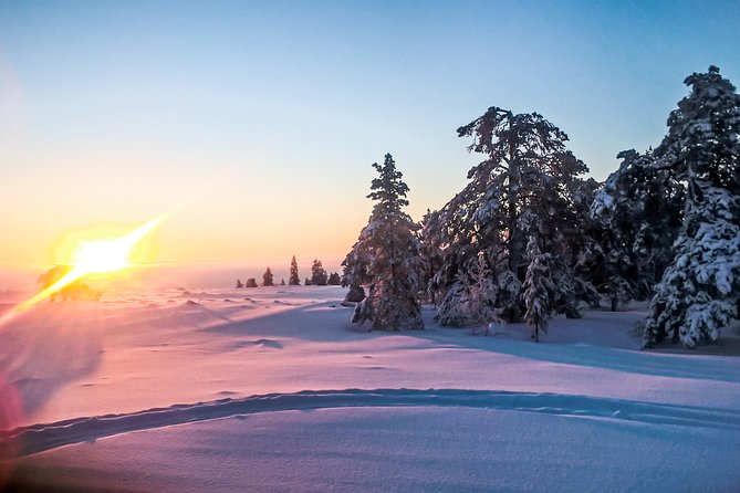 Snowmobile Safari in the Nature - Safety, licenses, and the insurance question