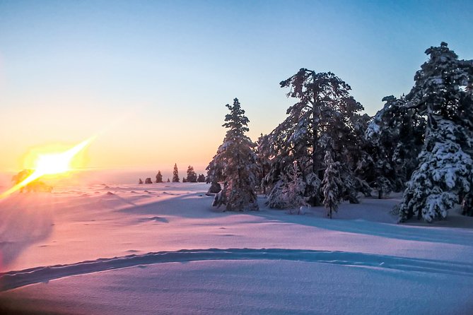 Snowmobile Safari in the Nature - Morning start - Starting at Rovakatu 26 in central Rovaniemi