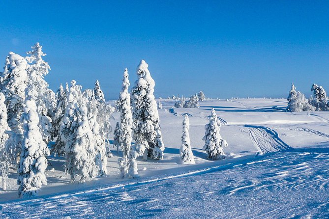 Snowmobile Safari in the Nature - Morning start - What to pack and what to confirm