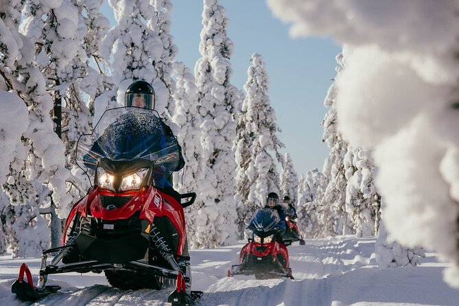 Snowmobile Safari into the Arctic Circle Forest - Quick facts about the Arctic Circle snowmobile safari