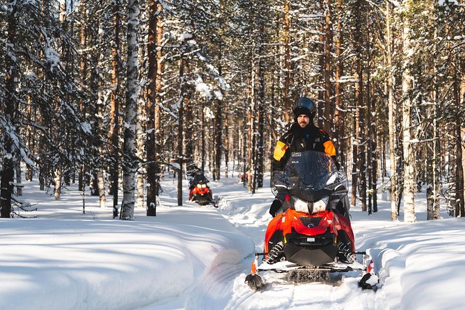 Snowmobile Safari into the Arctic Circle Forest - What this Rovaniemi snowmobile tour is really like