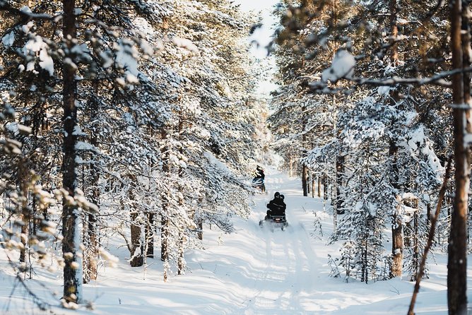 Snowmobile Safari into the Arctic Circle Forest - Starting at Wild Nordic near Santa Claus Village