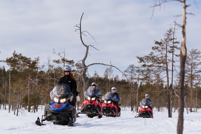Snowmobile Safari into the Wilderness, Apukka Resort Rovaniemi - What the Apukka snowmobile safari is really like