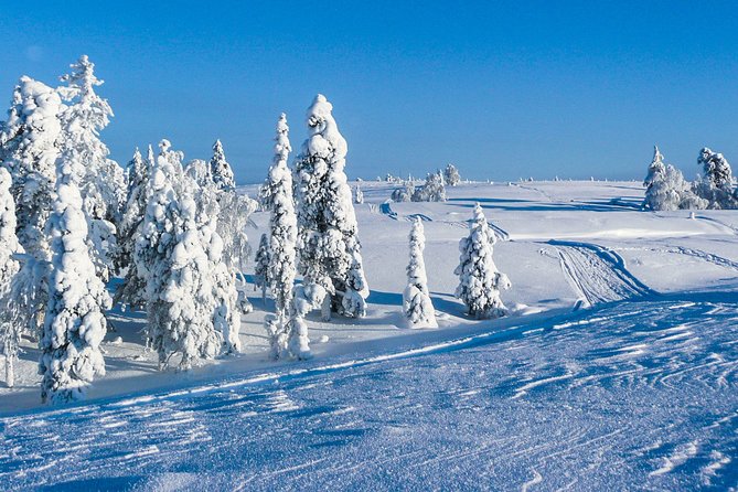 Snowmobile Safari on the Tundra - Setting out from Saariselka at 2 pm