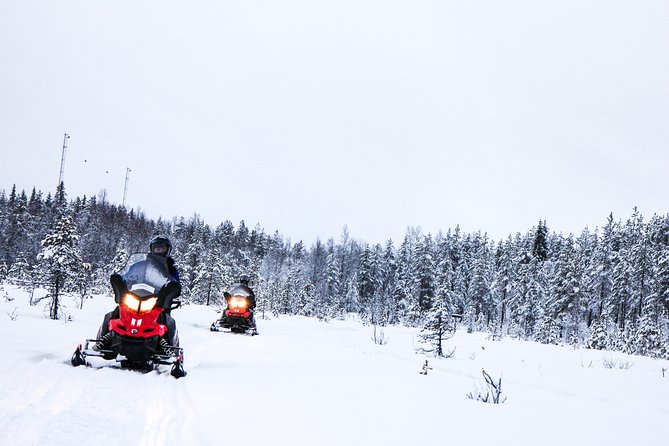Snowmobile Safari on the Tundra - Into the snowy forest and across open tundra