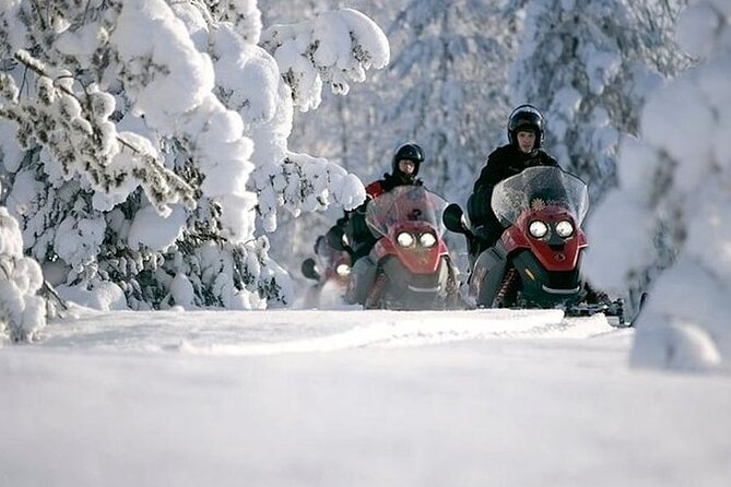 Snowmobile Safari through Lappish Forest from Rovaniemi - Key points to know before booking