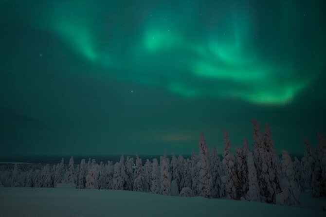 Snowmobile Safari to Search for the Northern Lights - Riding the forest trails in search of auroras