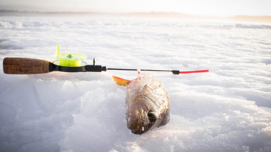 Snowmobile Safari with Ice Fishing Experience - What the $226 price includes
