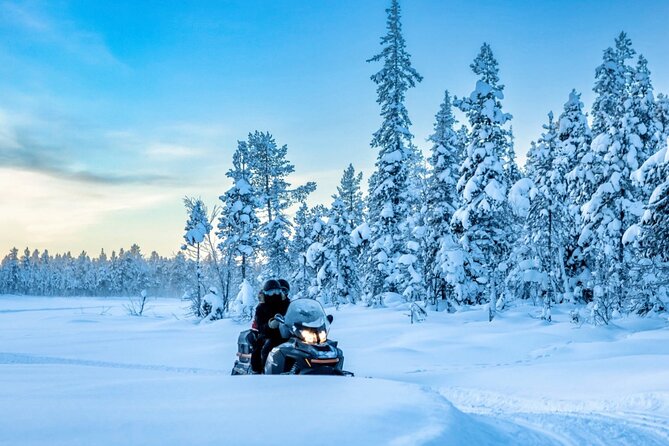 Snowmobile Tour with Small Group in Remote Wilderness 3 Hours - Quick takeaways from the Arctic ride