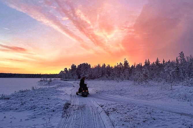 Snowmobile Tour with Small Group in Remote Wilderness 3 Hours - The small-group difference