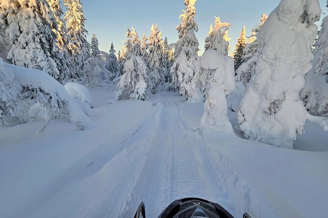 Snowmobile Tour with Small Group in Remote Wilderness 3 Hours - What families should know before booking