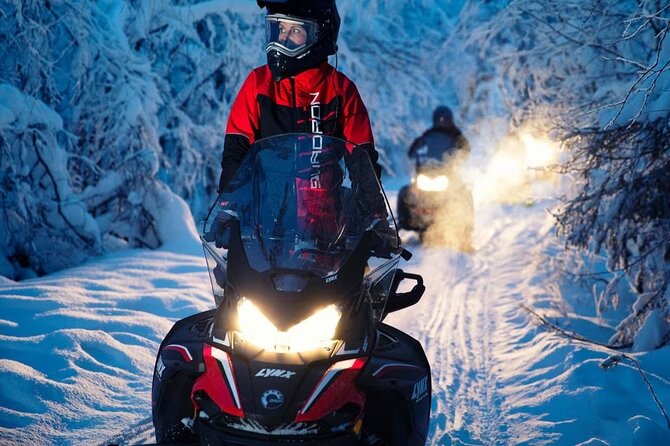 Snowmobile Tour with Small Group in Remote Wilderness 3 Hours - Is $222.27 a fair price?