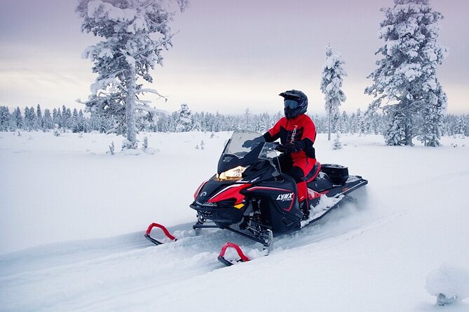 Snowmobile Tour with Small Group in Remote Wilderness 3 Hours - Forest trails, frozen lakes, and private routes