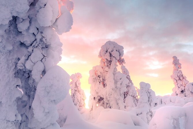 Snowmobile Tours in Rovaniemi Lapland - Key points to know before you book