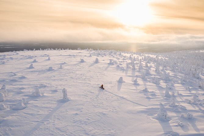 Snowmobiling Adventure in Levi - Riding through Levi’s snowy forests
