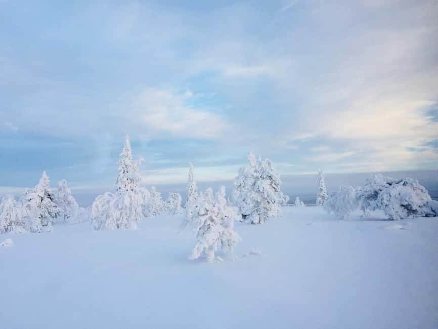 Snowshoe experience with traditional beverages in Lapland - Key points to know before you book