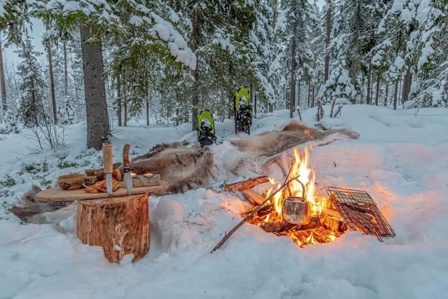 Snowshoe experience with traditional beverages in Lapland - Forest silence, frozen lake views, and photo stops
