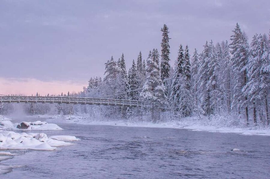 Snowshoe experience with traditional beverages in Lapland - Alex, the guide who shapes the day