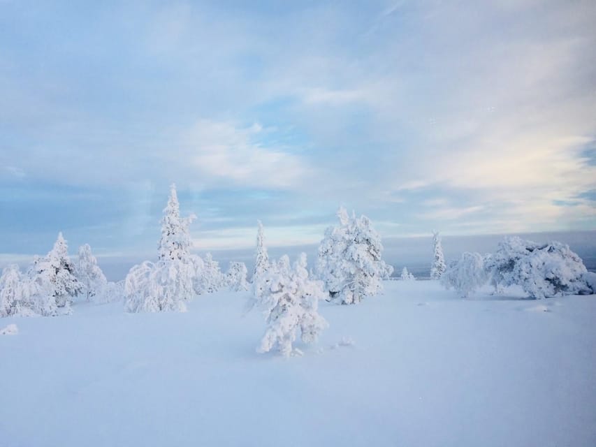 Snowshoe experience with traditional beverages in Lapland - Should you book the Lapland snowshoe experience?
