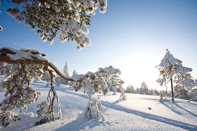 Snowshoe Trip for Searching Arctic Animals - What the guide adds to the day