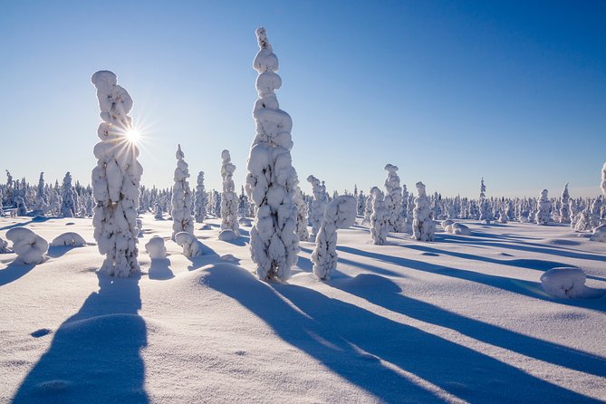 Snowshoe Trip in the Forest - Is $91.92 a fair price?