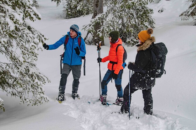 Snowshoeing Adventure with Ice-Fishing, Fire and Survival - What the guide adds to the experience