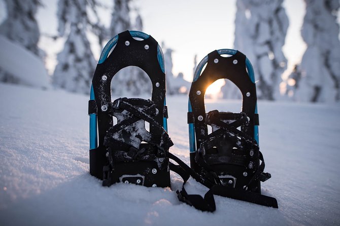 Snowshoeing in the Arctic Circle Wilderness - Walking under snow-covered trees