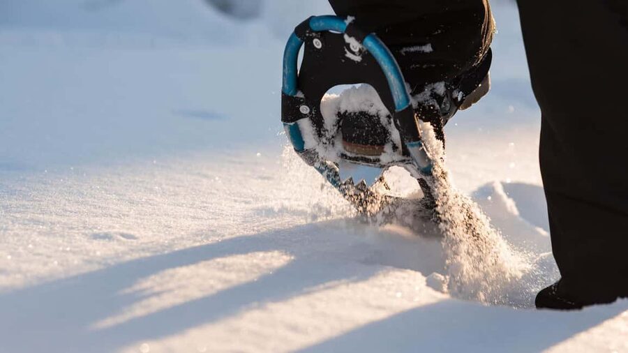Snowshoeing in the Arctic Wilderness - Key points to know before booking