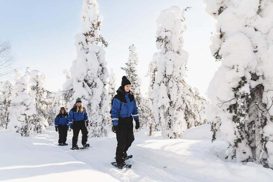 Snowshoeing in the Arctic Wilderness - Leaving Rovaniemi for the Arctic woods