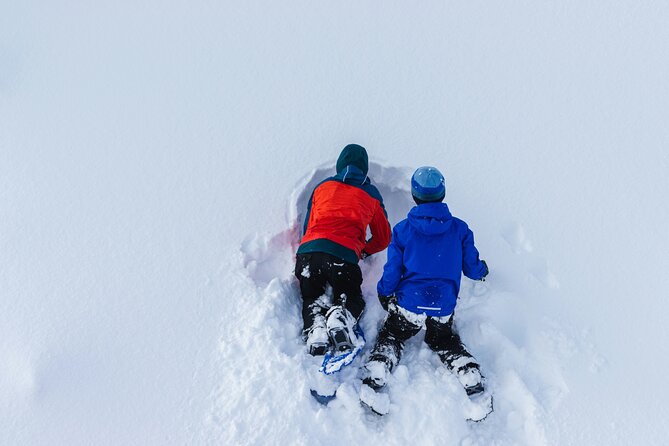 Snowshoeing tour with Wild Lunch - Leaving Rovaniemi for a quieter forest