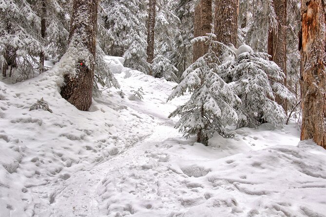 Snowshoeing tour with Wild Lunch - A fire, a teepee, and a distinctly northern lunch