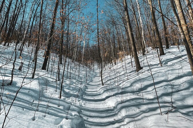 Snowshoeing tour with Wild Lunch - What the guide adds to the outing