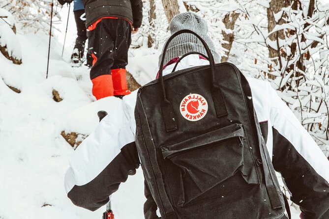 Snowshoeing tour with Wild Lunch - Is $95.53 a fair price?