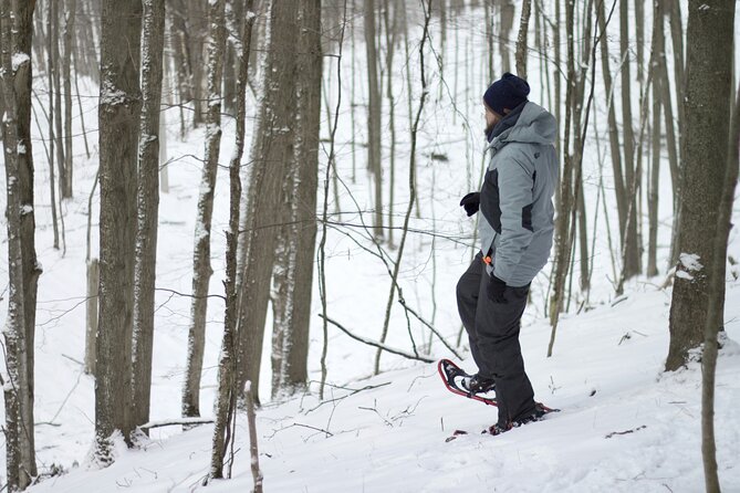 Snowshoeing tour with Wild Lunch - Timing, group size, and weather concerns