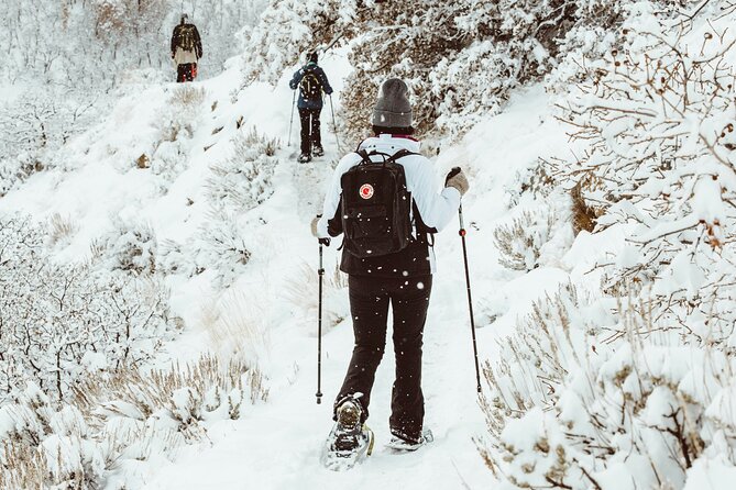 Snowshoeing tour with Wild Lunch - Who should book this snowshoe outing?