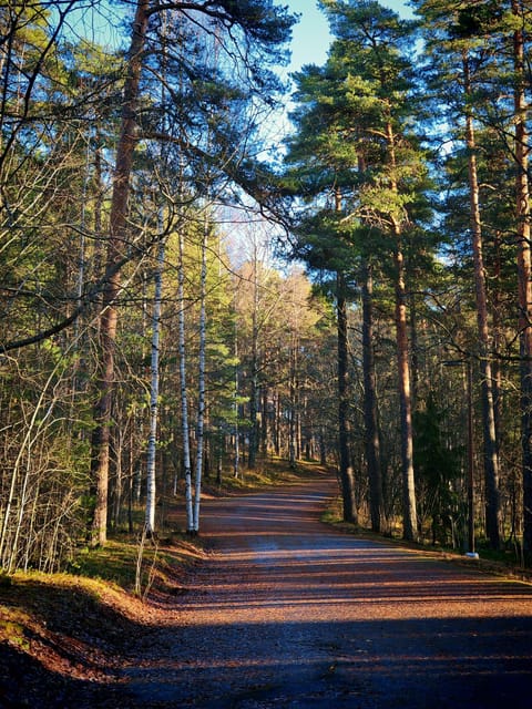 Tampere Panoramic Tour - What the $212 group price covers